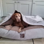 Make a Cave Style Calming Dog Bed