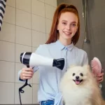 How To Use A Dog Hair Dryer Correctly