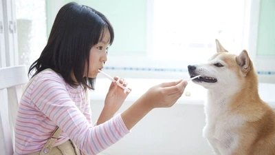 Dog toothpaste contains beneficial enzymes