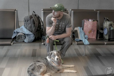 How To Travel With Your Dog Internationally