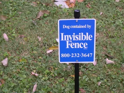 An Invisible Fence Will Work For Most Dogs