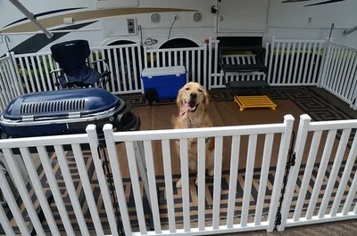 Dog inside an RV fence