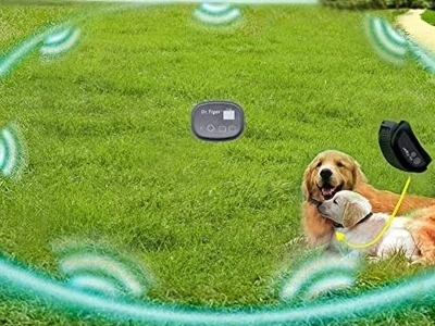 Dogs inside a wireless dog fence