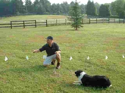 man training a dog to an invisible fence