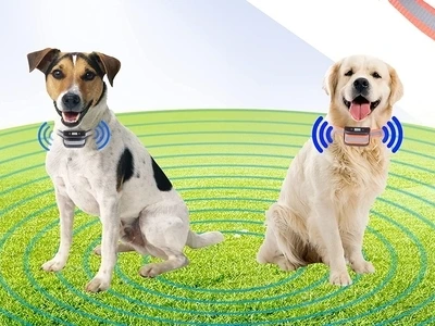 Dogs on a JUSTPET Wireless Dog Fence