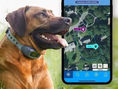 How Reliable are GPS Dog Fences