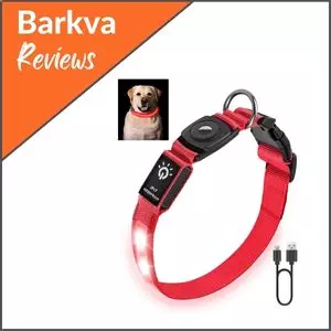 Bissap LED AirTag Dog Collar, Waterproof Light Up Dogs Collar Rechargeable with Apple AirTag Holder Case for Pet Puppy Small Medium Large Dogs Lights Night Safety Walking (Medium) -Red